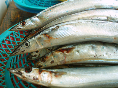 Jagalchi Fish, Busan, Korea ›
  May 2003.