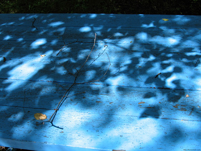 Shade on Picnic Table, Lake
  Isle, Alberta › July 2005.