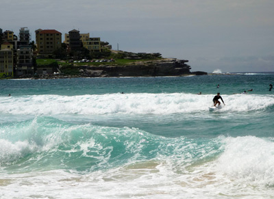 Bondi Surfer, Sydney › January 2016.