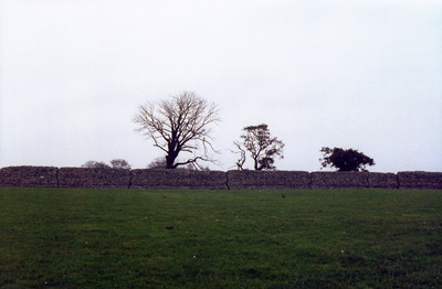 Burgh Castle, Near Norwich ›
  October 1998.