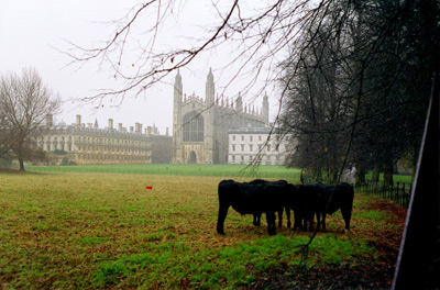 King's College, Cambridge ›
  November 1998.