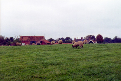 English Countryside, Norfolk
  Area › October 1998.