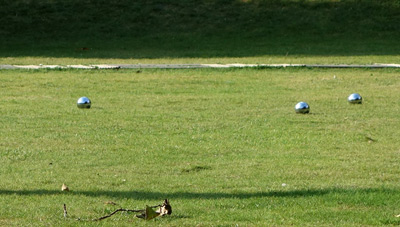 Lawn Bowling at Balliol, Oxford › August 2014.