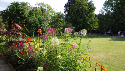 Balliol Quadrangle Flowers, Oxford › August 2014.