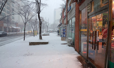 Snowy Shop Windows, Songdo › January 2016.