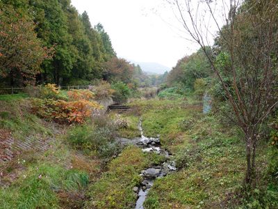 Grand Park Stream North View › October 2016.
