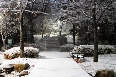 Snowfall Nonhyeon Steps › November 2017.