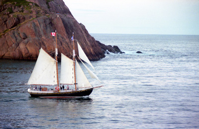 Tourist Boat, St. John's ›
  September 1998.