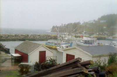 Harbor Fog, Dildo › April 1997.