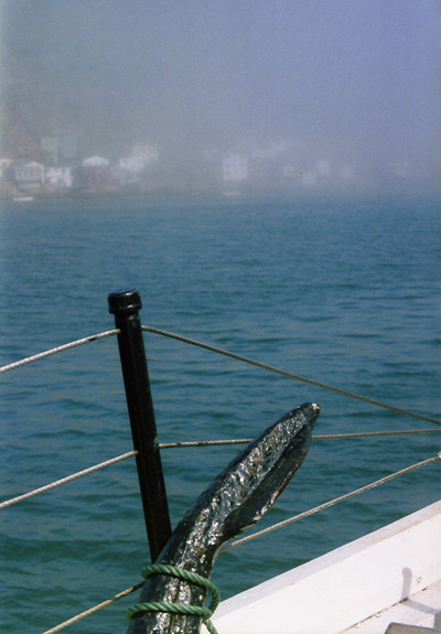 View from Boat, St. John's ›
  September 2000.