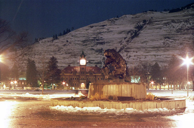 UM Bear in Lights, Missoula MT
  › February 1993.