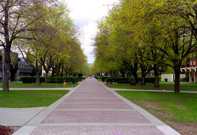 UM Campus, Missoula, Montana ›
  April 1993.