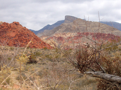 Picnic Spot, Red Rocks › February 2007.