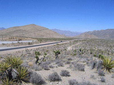 Highway Long View › June 2007.