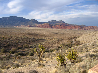 Desert Plains near Red Rocks ›
  March 2007.