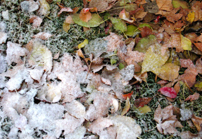 Diagonal Snow › December 2008