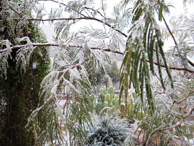 Hoarfrost on Campus › December
  2008