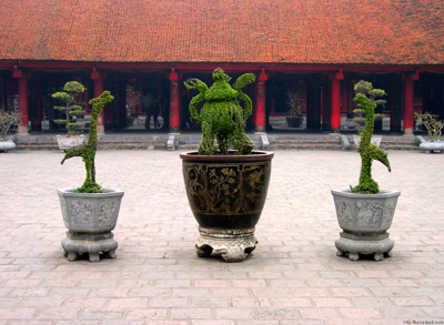 Plants, Temple of Literature,
  Hanoi › February 2005.