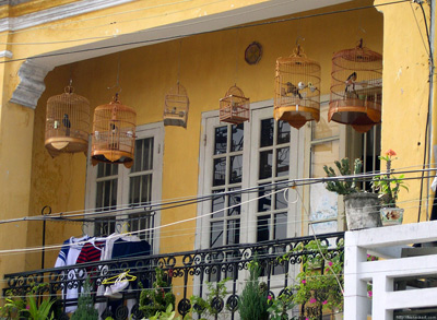 Bird Cages in Upstairs
  Apartment, Hoi An › February 2005.