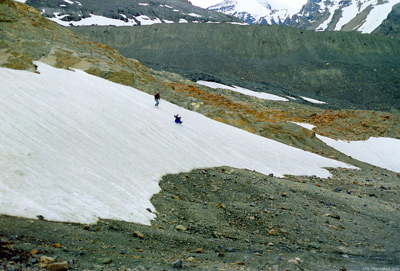 Jasper Ice Fields › June 1991.