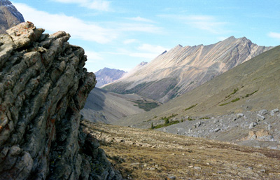 Near Banff, Jasper National Park
  › October 1993.