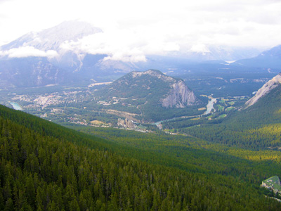 Gondola View, near Banff › August 2005.