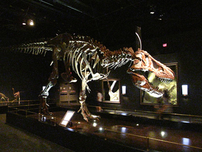 T-Rex Bones, Drumheller › August
  2010.