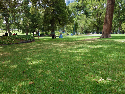 Flagstaff Gardens, Melbourne › January 2016.