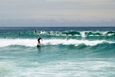 Bondi Surfers, Sydney › January 2016.
