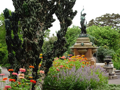 Botanic Garden Flowers, Sydney › January 2016.