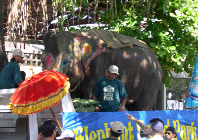 Elephant from Safari Park, Kuta
  › October 2003.