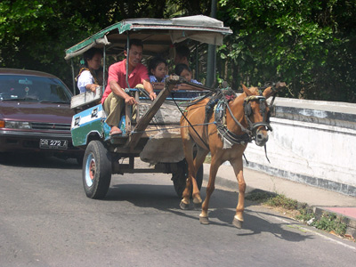 Horse Taxi, Mataram, Lombok ›
  October 2003.