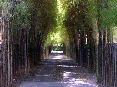 Walkway, Sanur › October 2003.