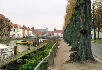 Brugge Tall Trees › November 1998.