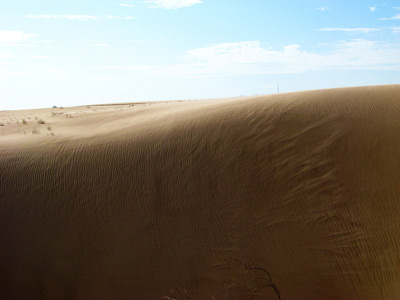 Obregon Dunes, near Mexicali ›
  June 2008.