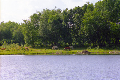 Jackfish Lake, Manitoba › June
  1992.