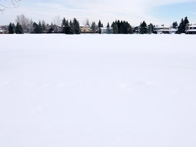 Park Snow › January 2020.