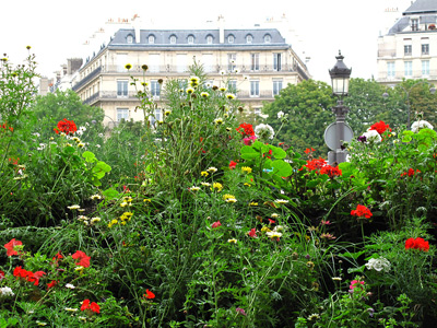 Champs Elysees Low Flowers › July
  2012.