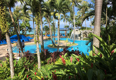 Morning in Outrigger Garden, Tumon › January 2017.