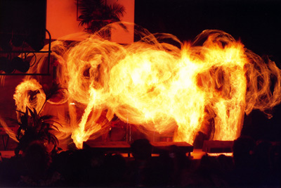 Luau Firedance Blur, Kailua-Kona
  › February 1992.