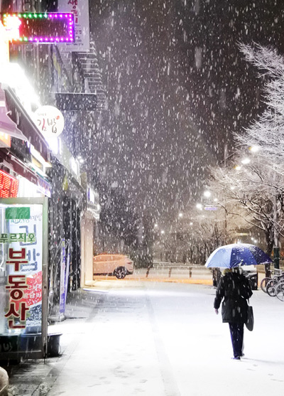 Snowfall Umbrella, Nonhyeon › November 2017.