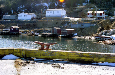 Harbor, Dildo › April 1997.