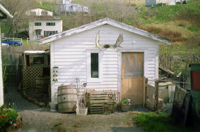 Old Shed near Signal Hill, St. John's › May 2000.