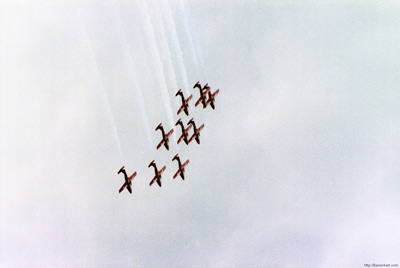 Snowbirds, St. John's › June
  2000.