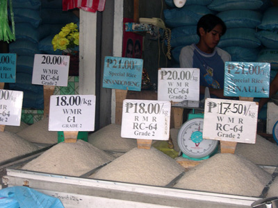 Grains for Sale, Calipan ›
  February 2004.