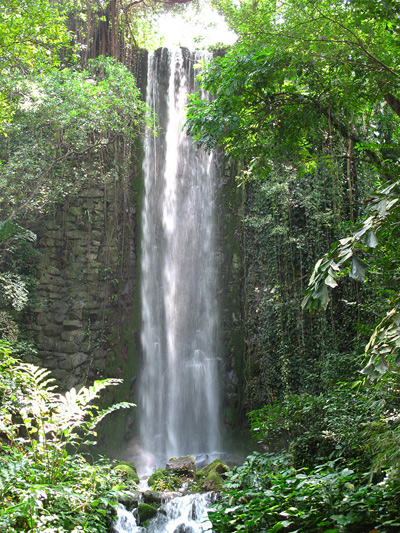 Jurong Park Waterfall › February
  2011.