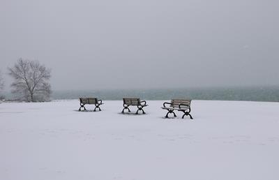 Snowed Out Benches, Humber Bay, Toronto › January 2020.