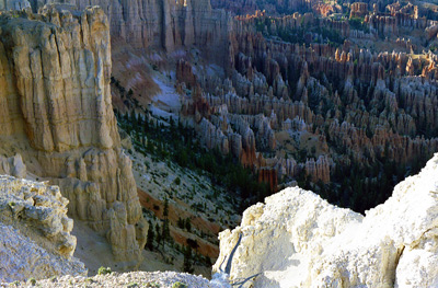 Bryce Slope, Utah › August 1986.