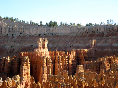 Bryce Architecture › July 2008.