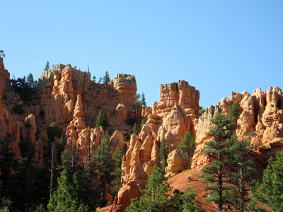 Red Canyon Peaks, Utah › July
  2008.